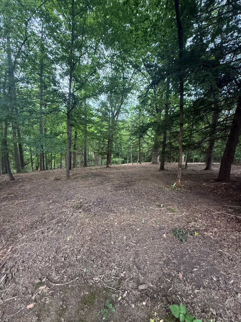 Cleared Cincinnati-area property after forestry mulching